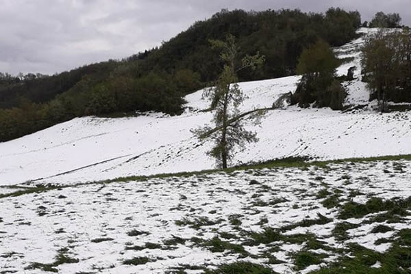 “Stato di calamità per il territorio reggiano”, la richiesta ufficiale di Cia alle istituzioni dopo i gravi danni per il maltempo