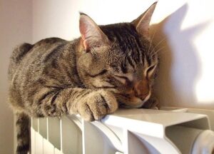 Prorogata accensione riscaldamento dal 12 al 14 maggio