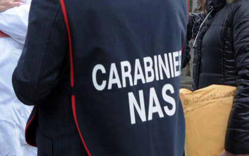 NAS Parma, controlli in rivendita di fitosanitari, violazioni amministrative