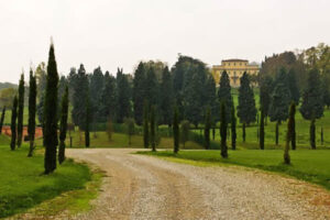 Frana su sette garage a Dinazzano di Casalgrande