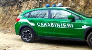 Gestione illecita di rifiuti in discarica abusiva: due imprenditori denunciati dai carabinieri forestali