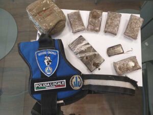 Agenti di Quartiere della Polizia Locale a cani antidroga trovano 4 etti di hashish a Pieve Modolena