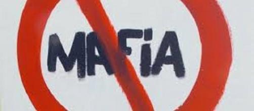 Casalgrande 53 Mafia Free