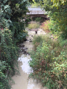 Casalgrande, nuovi interventi per la sicurezza dei corsi d’acqua  per oltre 100mila euro