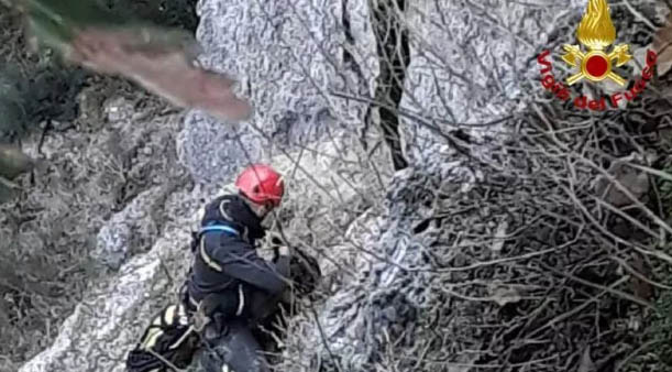 Scandiano, cane vola in un dirupo mentre insegue una preda: lo salvano i vigili del fuoco