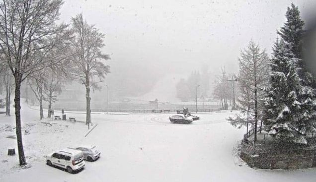 Reggio Emilia 204 Neve
