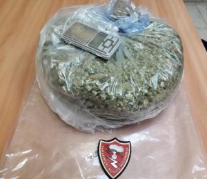 Reggio Emilia, Carabinieri trovano oltre un chilo di droga nascosta nelle aiuole vicino all’Ospedale