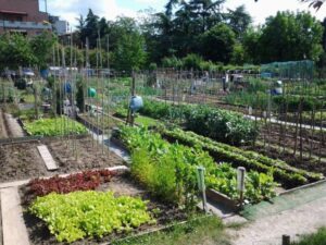 Reggio Emilia, in scadenza i bandi per l’assegnazione degli orti urbani Spallanzani, Baragalla e Canale di Secchi. Entro il 14 febbraio
