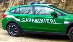 Causa incendio mentre brucia gli sfalci d’erba: denunciato