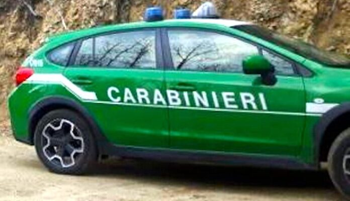 Carabinieri Forestale 00