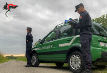Proroga al 31 agosto della fase di preallarme e contestuale dichiarazione dello stato di grave pericolosità per gli incendi boschivi con estensione a tutto il territorio regionale