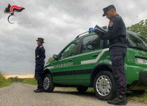 Abbandona residui di combustione e causa incendio: denunciato