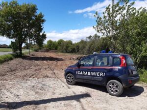 Taglio boschivo non autorizzato: tre denunciati dai Forestali