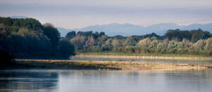 Unione Bassa Reggiana, percorso partecipativo per costituire l’Osservatorio Locale per il Paesaggio