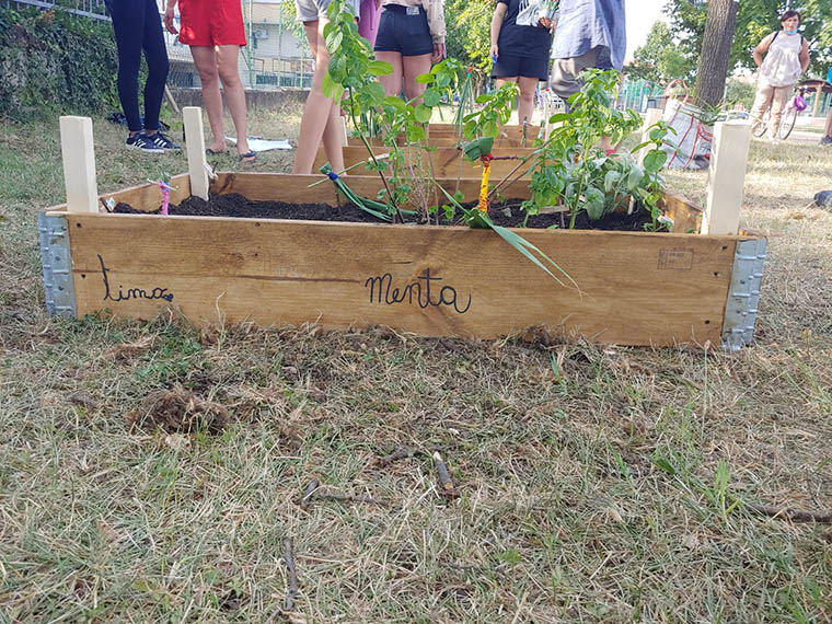 Realizzato a Salvaterra un orto di comunità