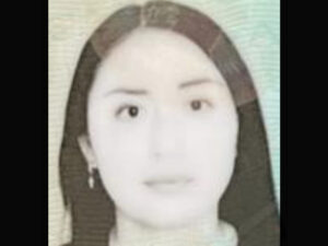 Trentaquattrenne di origini peruviane accoltellata nel parco a Reggio Emilia. Fermato un 24enne di Parma