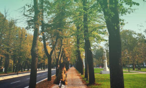 Reggio Emilia quarta nella classifica nazionale di Legambiente sull’Ecosistema Urbano #videonotizia