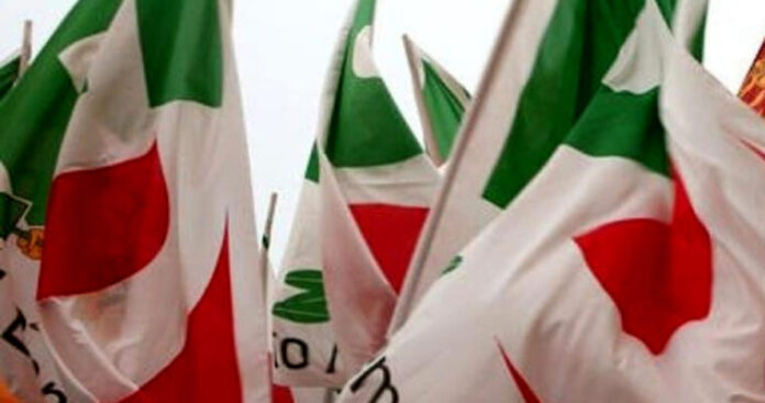 Partito Democratico Bandiere 01