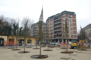 Progetto Ducato Estense. A Porta Castello messi a dimora ventotto nuovi aceri campestri