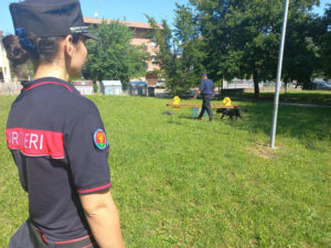 Il nucleo cinofilo antiveleno dei Carabinieri Forestali in azione a in località Pozza del Comune di Maranello a seguito di presunto avvelenamento di un cane