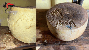 I NAS di Parma chiudono un caseificio in provincia di Reggio Emilia