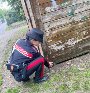 Scoperta base di spaccio “a cielo aperto”. Intervenuti i Carabinieri