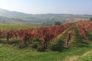 CIA Reggio: “Giovani e famiglie scelgono di passare le serate lontano dal caldo torrido della città per immergersi nella natura”