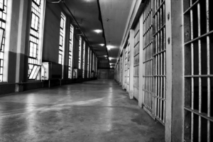 Carceri. Trasferimento di detenuti dagli istituti minorili alla Dozza di Bologna, l’assessora Conti scrive al ministro della Giustizia, Carlo Nordio