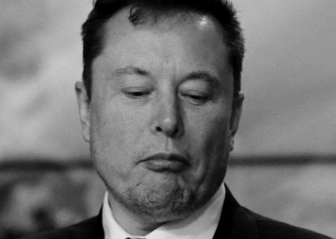 Elon Musk 2025 - 02