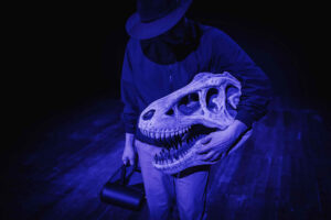 Al Festival Aperto di Reggio Emilia Marco D’Agostino con “Asteroide”