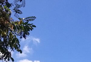 Fiume Secchia. Avviato il percorso partecipato verso “Il nostro fiume, il nostro futuro”