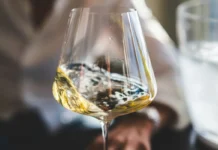 Coldiretti: il vino italiano vale 14 miliardi. Liberarlo dalla burocrazia
