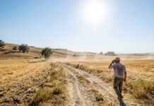 Arpae. Riparte il servizio di previsione delle ondate di calore